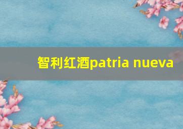 智利红酒patria nueva